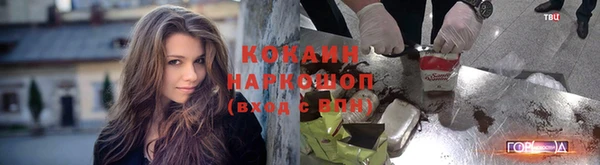 эйфоретик Арсеньев