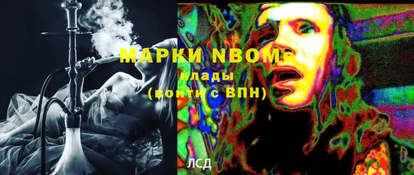 шишки Армянск