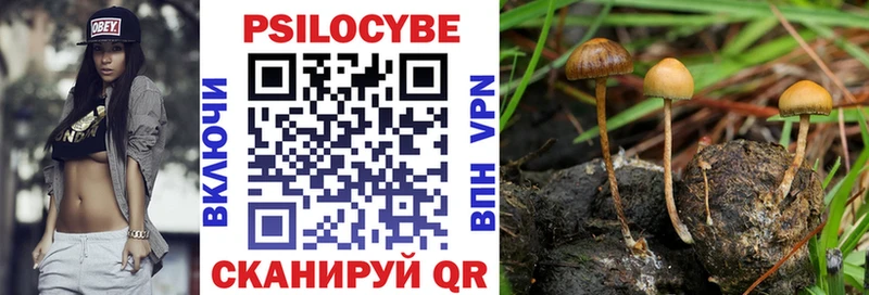 Псилоцибиновые грибы прущие грибы Нея